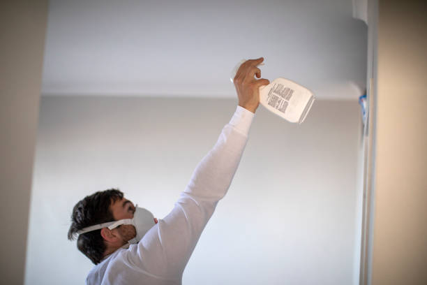 Best Attic Mold Remediation in New Johnsonville, TN